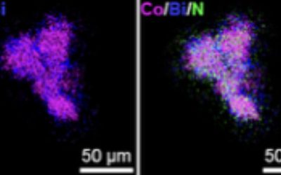 Nanoparticle-cell interface enables electromagnetic wireless programming of mammalian transgene expression
