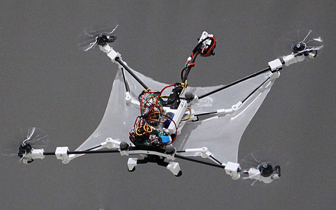 Flying squirrel-inspired drone with foldable wings demonstrates high maneuverability