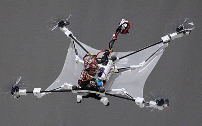 Flying squirrel-inspired drone with foldable wings demonstrates high maneuverability
