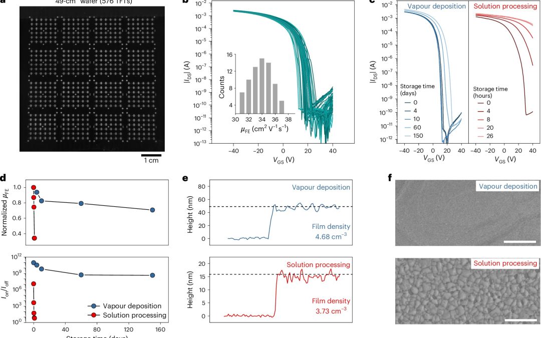 A new strategy to fabricate highly performing thin-film tin perovskite transistors