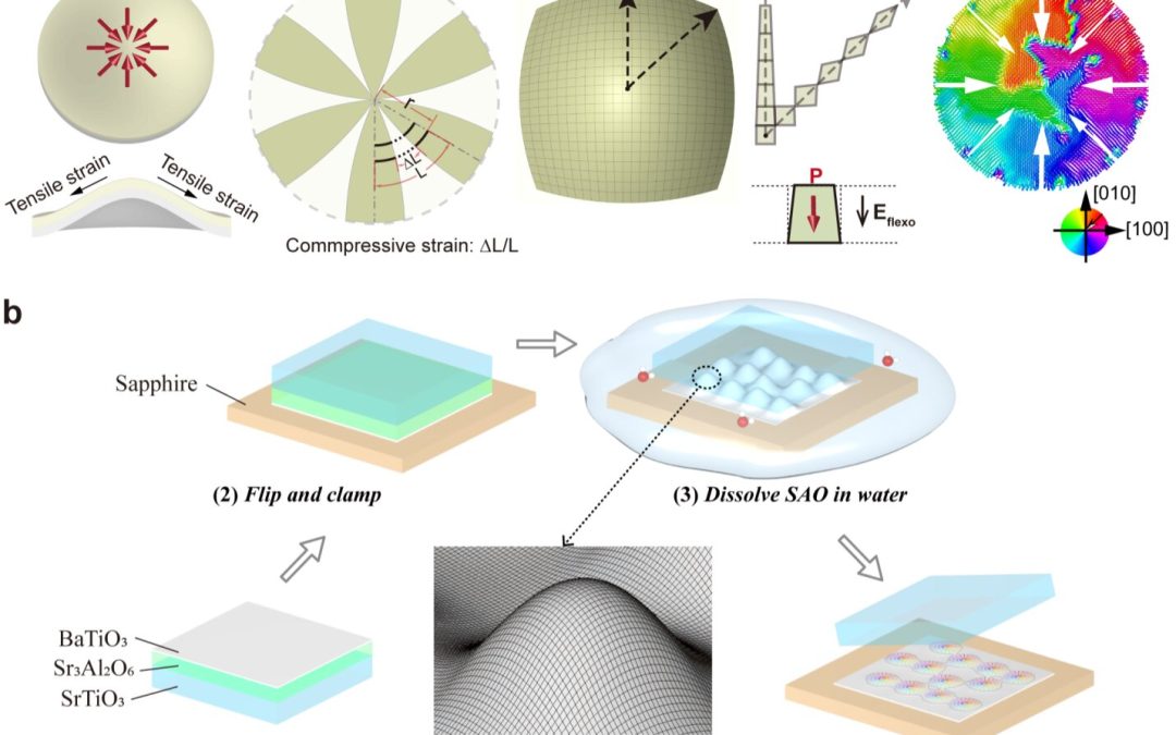 A recently realized ferroelectric topology in nanomembranes enables light field manipulation
