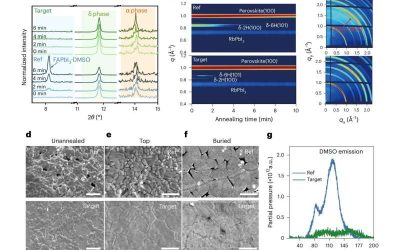 On-demand Lewis base formation strategy boosts efficiency and stability of perovskite solar cells