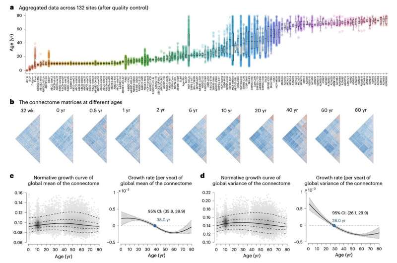 Large-scale study explores lifespan changes in the human brain’s functional connectivity
