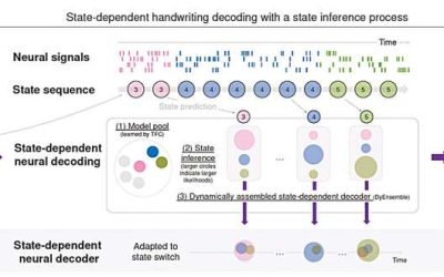 New insight into how the human motor cortex encodes complex handwriting