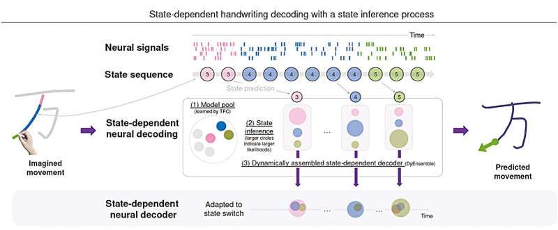 New insight into how the human motor cortex encodes complex handwriting