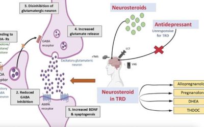 Neurosteroids identified as potential therapy for treatment-resistant depression