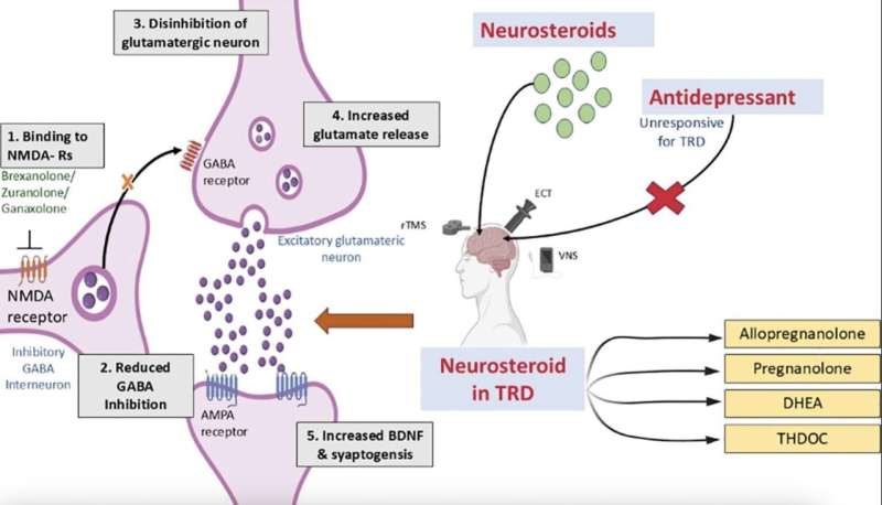 Neurosteroids identified as potential therapy for treatment-resistant depression