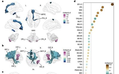 Study explores the impact of growing up without siblings on the brain and behavior of adults