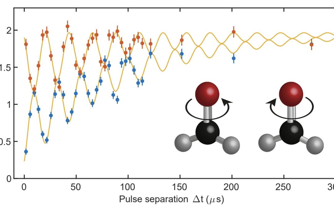 Study realizes symmetry-protected molecular qubits based on cold polyatomic molecules