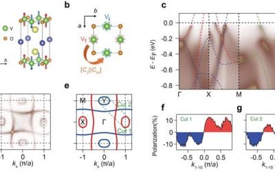Physicists uncover a metallic altermagnet with d-wave spin splitting at room temperature