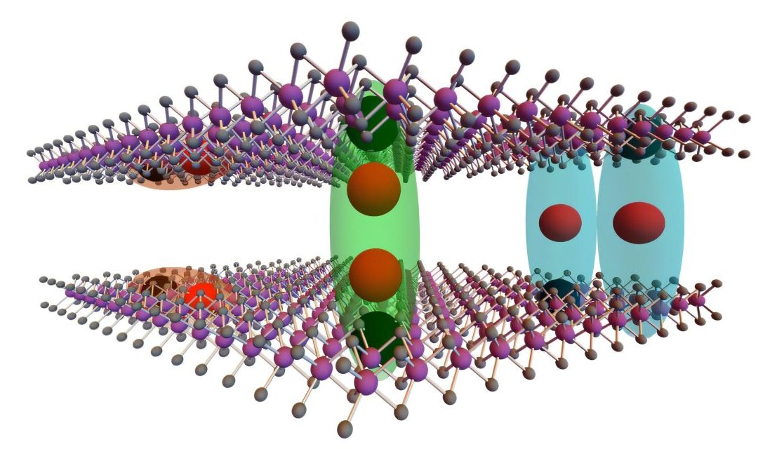 Two distinct exciton states observed in 2H stacked bilayer molybdenum diselenide