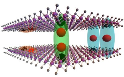 Two distinct exciton states observed in 2H stacked bilayer molybdenum diselenide