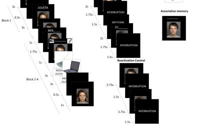 Reactivation of specific memories can indirectly strengthen related ones, study finds