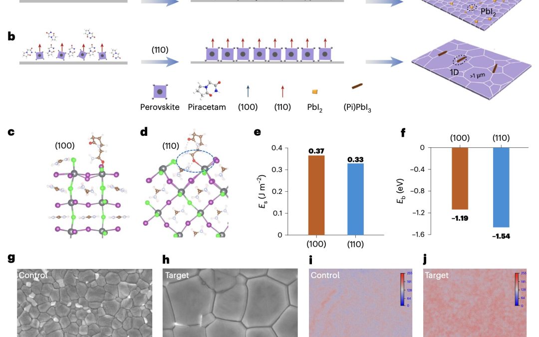 Crystal-modifying agent piracetam provides scalable strategy for high-efficiency all-perovskite tandem solar cells