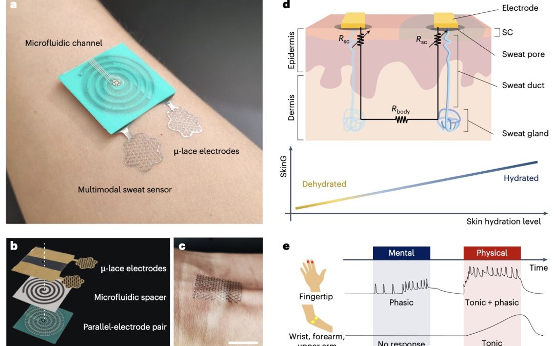 Using the skin’s electrical conductance to track sweat loss during both physical and mental activities