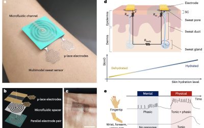 Using the skin’s electrical conductance to track sweat loss during both physical and mental activities