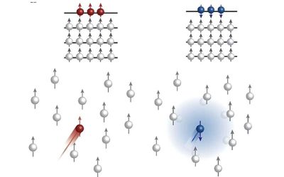 A new mechanism to realize spin-selective transport in tungsten diselenide