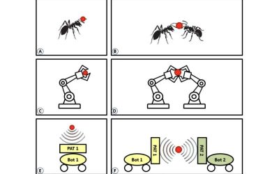 New system allows acoustic robots to co-operatively transport objects