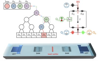 A quantum random access memory based on transmon-controlled phonon routers