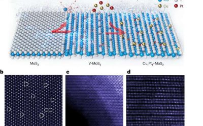 New approach reversibly configures single and heteronuclear dual-atom catalysts on MoS₂ substrate