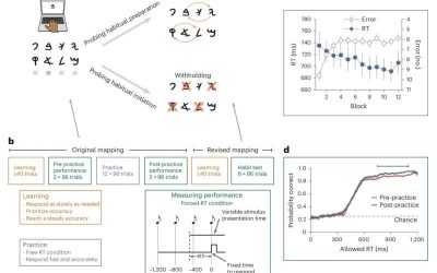Habits supported by two different aspects of action control could resolve past discrepancies