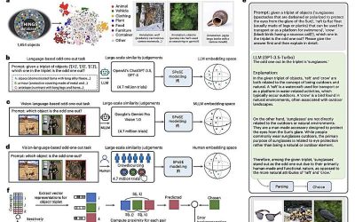 Multimodal LLMs and the human brain create object representations in similar ways, study finds