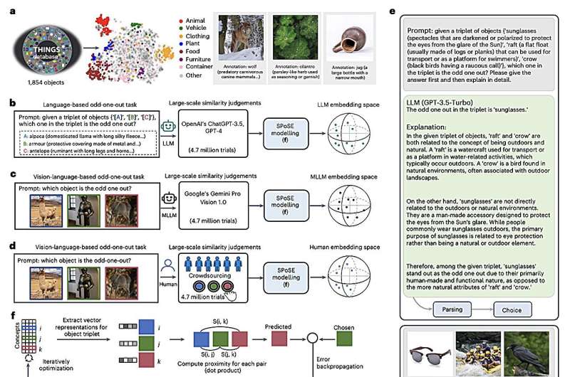 Multimodal LLMs and the human brain create object representations in similar ways, study finds