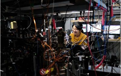 Atom tweezer arrays reveal how phase transitions unfold in mesoscopic systems