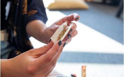 Study explores genetic link between cannabis use and psychiatric disorders