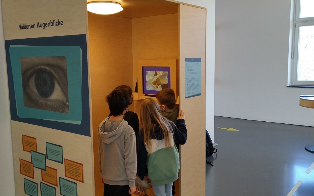 Eye-tracking exhibit helps map gaze behavior development across different life stages