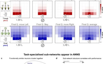 Artificial neural networks reveal how peripersonal neurons represent the space around the body