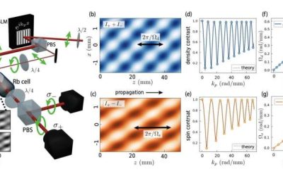 Scientists provide clear observation of spin and density modes in a two-component fluid of light