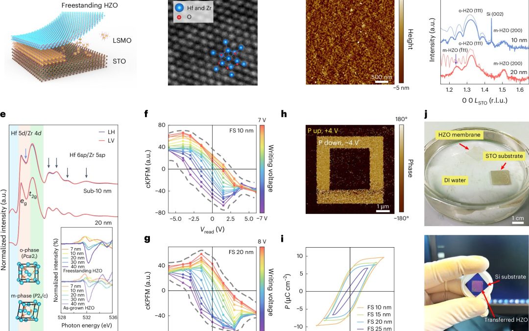 Freestanding hafnium zirconium oxide membranes can enable advanced 2D transistors