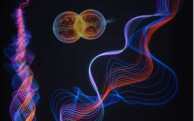 Researchers uncover a topological excitonic insulator with a tunable momentum order