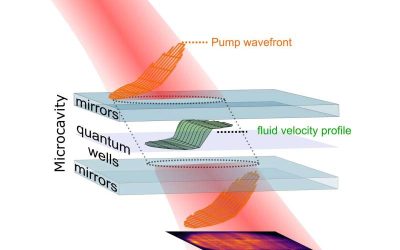 Simulating the Hawking effect and other quantum field theory predictions with polariton fluids