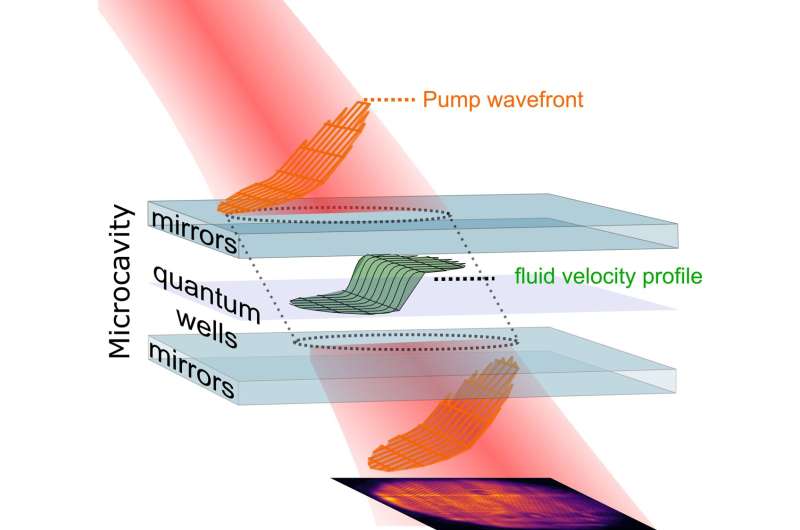 Simulating the Hawking effect and other quantum field theory predictions with polariton fluids